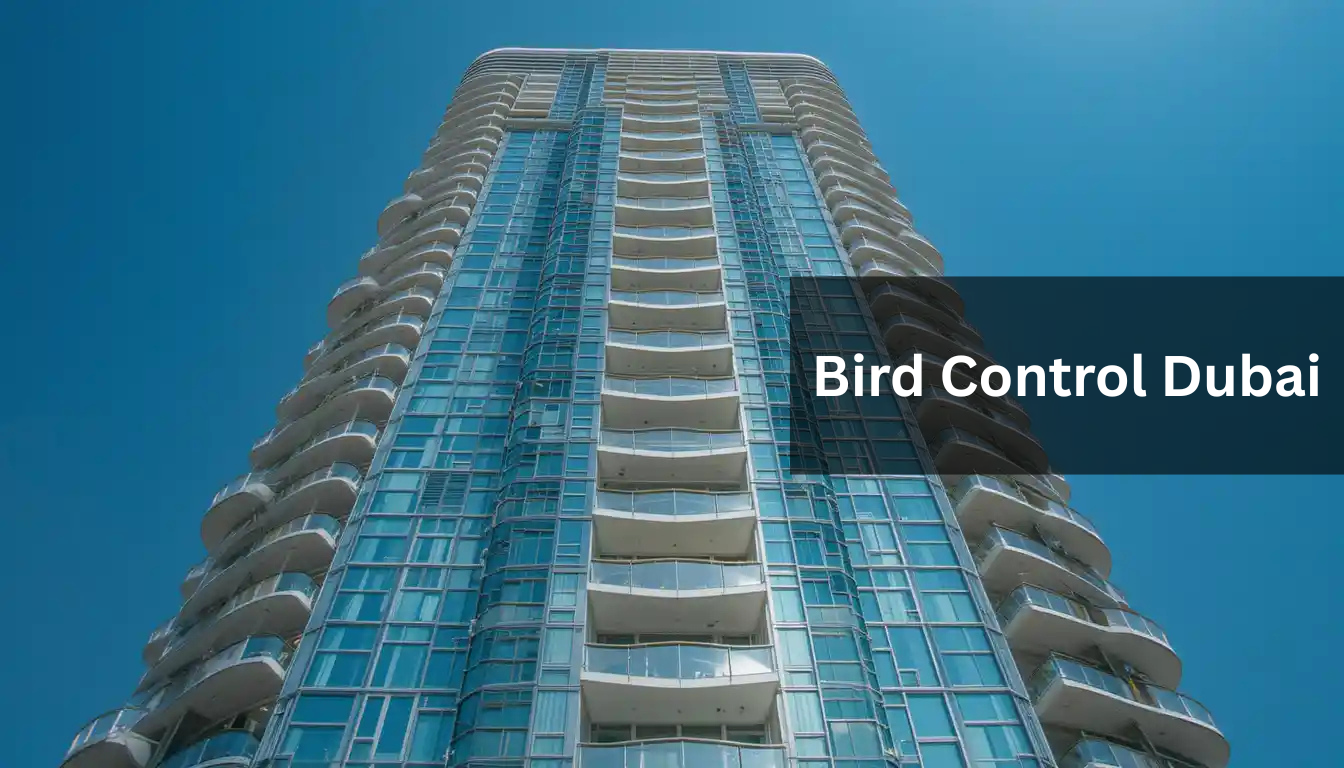 Bird Control Dubai